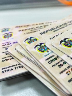Licencias de conducción