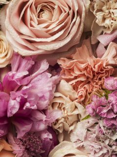 Flores