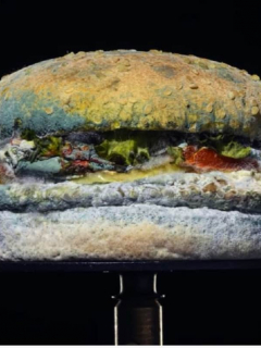 Hamburguesa con moho