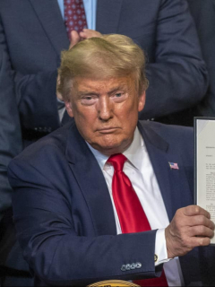 Donald Trump / Afiche 'Parásitos'