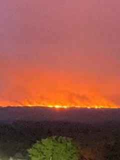 Serranía de La Macarena en llamas / Imagen de referencia de Bogotá