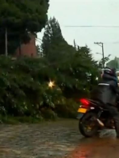 Otro árbol cae sobre la vía la Calera