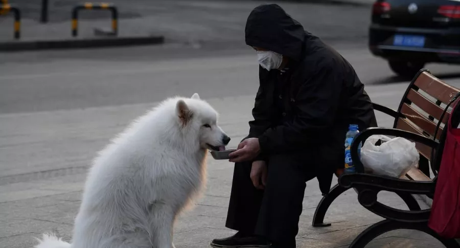 Hombre con tapabocas alimentando perro