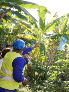 Conexión ilegal de energía