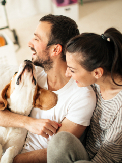 Jóvenes preferirían mascotas a hijos