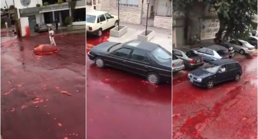 Río de sangre en Morón, Argentina