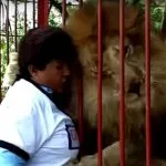 Júpiter, el león que enamoró a Colombia
