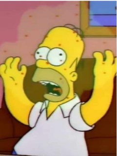 Los Simpson