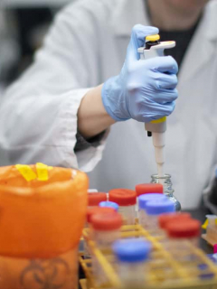 Laboratorio