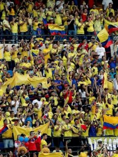 Hinchas Selección Colombia