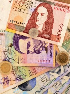 Imagen de referencia
