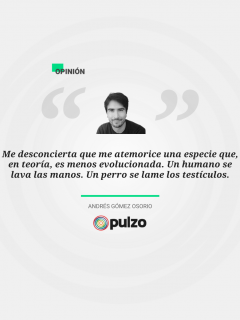 Andrés Gómez Osorio