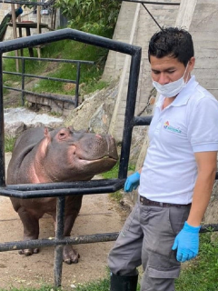 Animales de zoológico de Santa Cruz