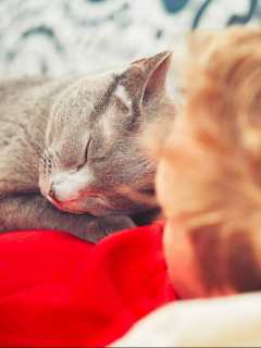 Gato duerme con el dueño.