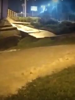 Chía