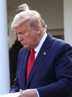 trumppelo