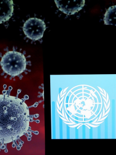 Pandemia de coronavirus COVID-19, según la ONU
