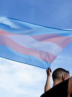 Bandera trans