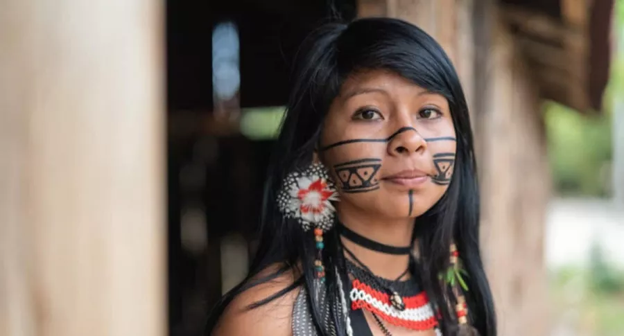 Indígena Amazonas