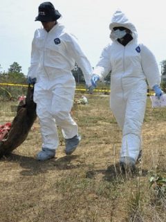 Hallan cuerpos en Antioquia