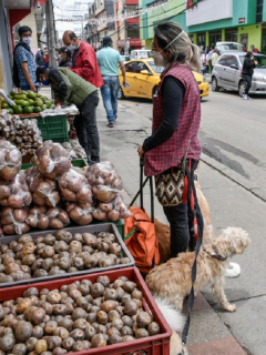 Plaza de mercado, imagen de referencia.