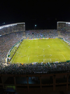 Estadio-de-Palmaseca