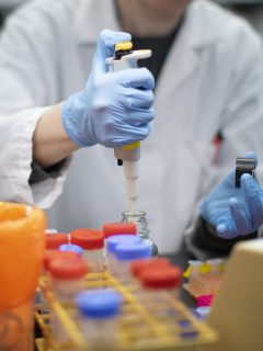 Pruebas de laboratorio