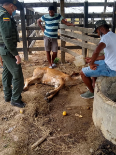 Miguel Ángel Borja en su finca denunciando el hecho de maltrato animal