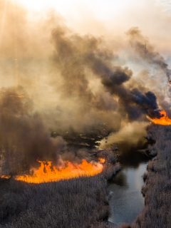 Incendio en Chernóbil.
