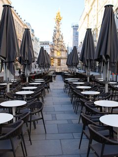 Viena