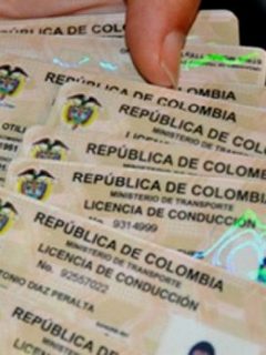 Licencia de conducción
