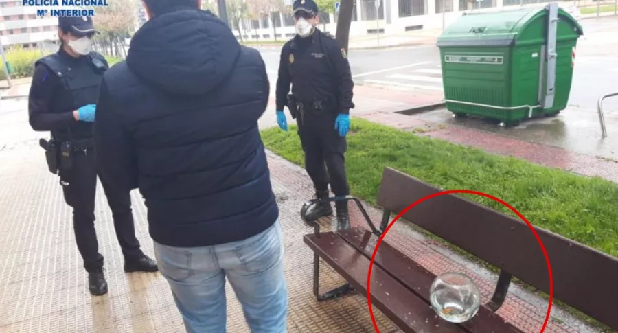 Peces policía España