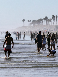 Playas California