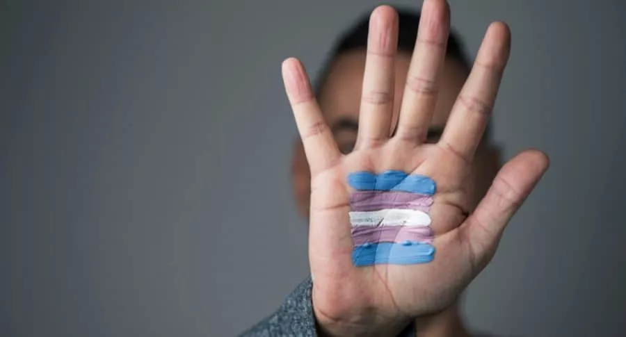 bandera transgénero en la palma de la mano
