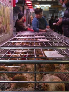 Mercado chino (imagen de referencia)