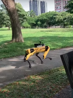 Robot Singapur