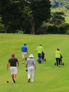 Campo de golf