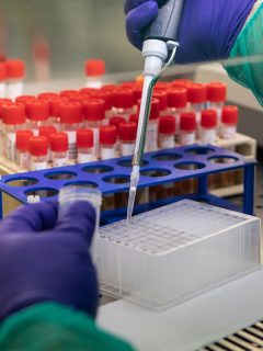 laboratorio