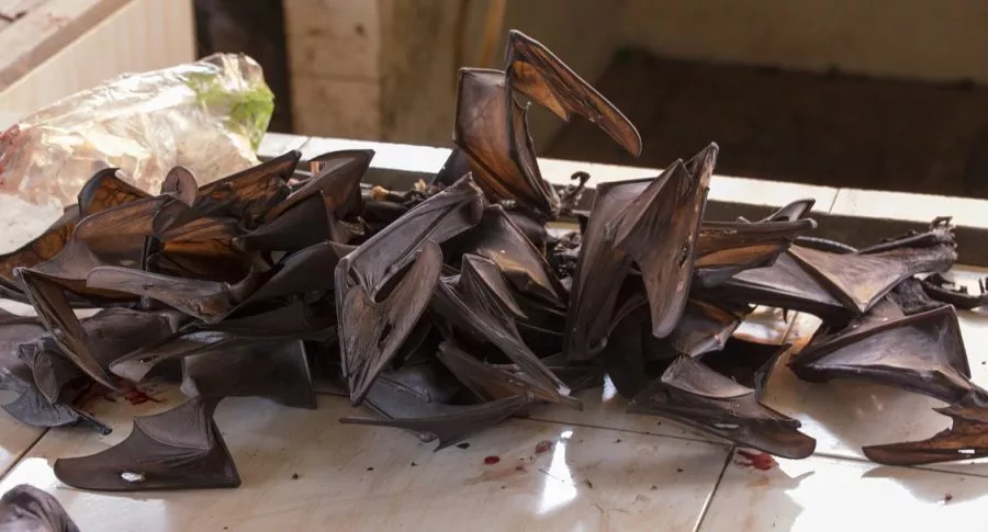 Carne de murciélago para comer en Indonesia