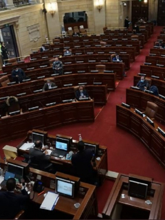 Sesión semipresencial en la Cámara