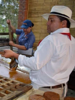 Panaca, imagen de referencia.