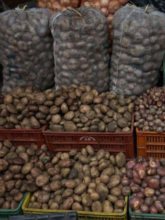 Plazas tendrán pico y género
