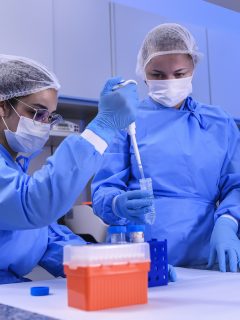 Laboratorio