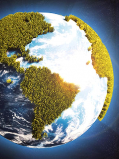 Drones reforestarán el planeta.