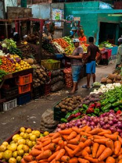 Productos agrícolas, imagen de referencia.