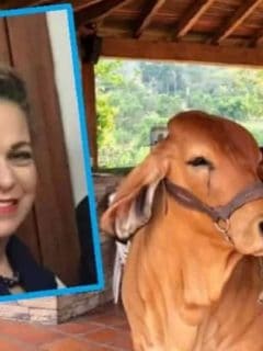 Indagatoria a María Claudia Daza