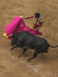 Corrida de toros en Bogotá