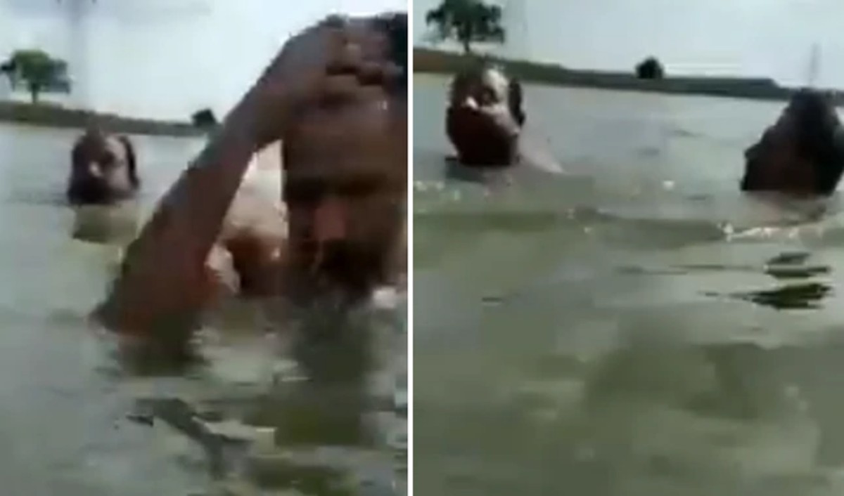 Video: Momento en que cocodrilo ataca a un hombre en un río