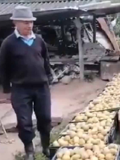 Campesino-Boyacá