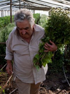 José 'Pepe' Mujica